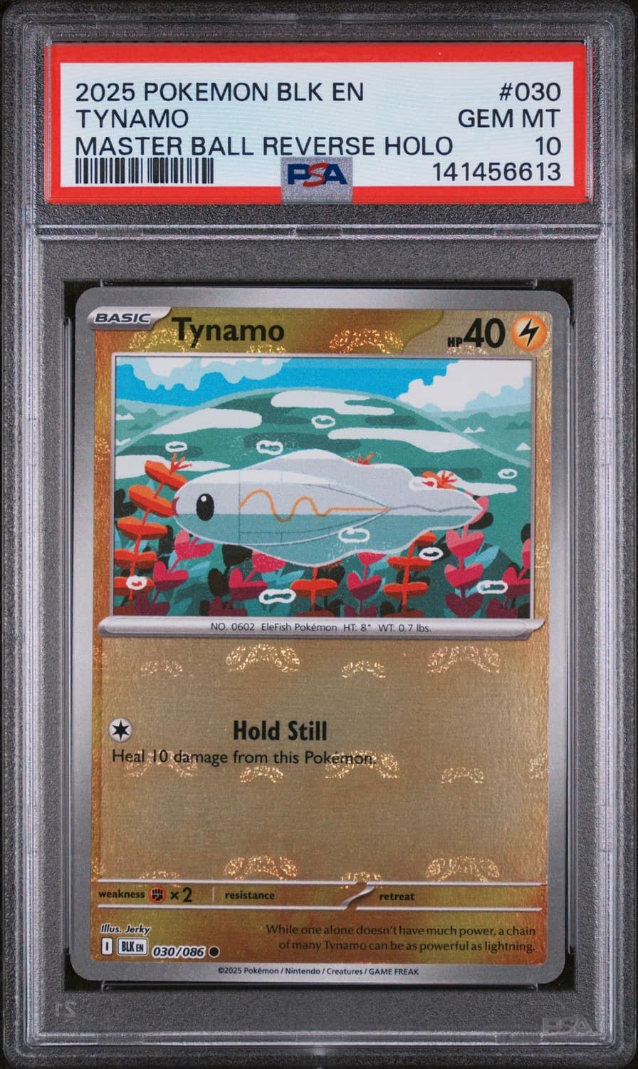 Tynamo