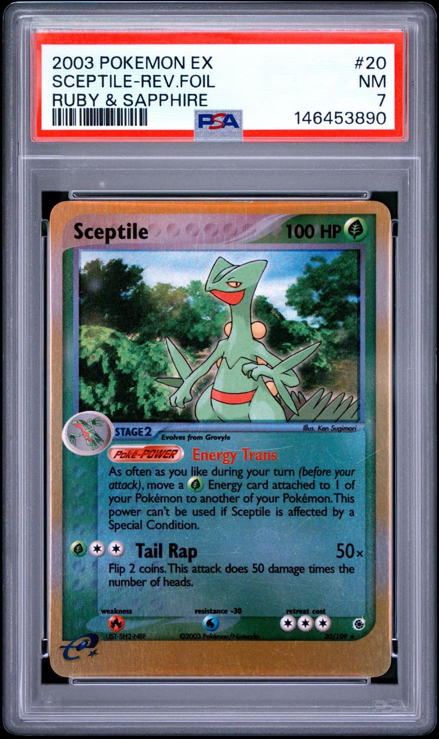 Sceptile