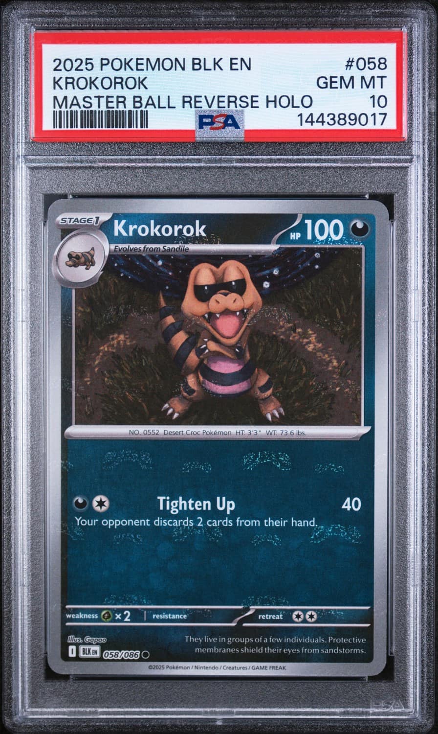Krokorok