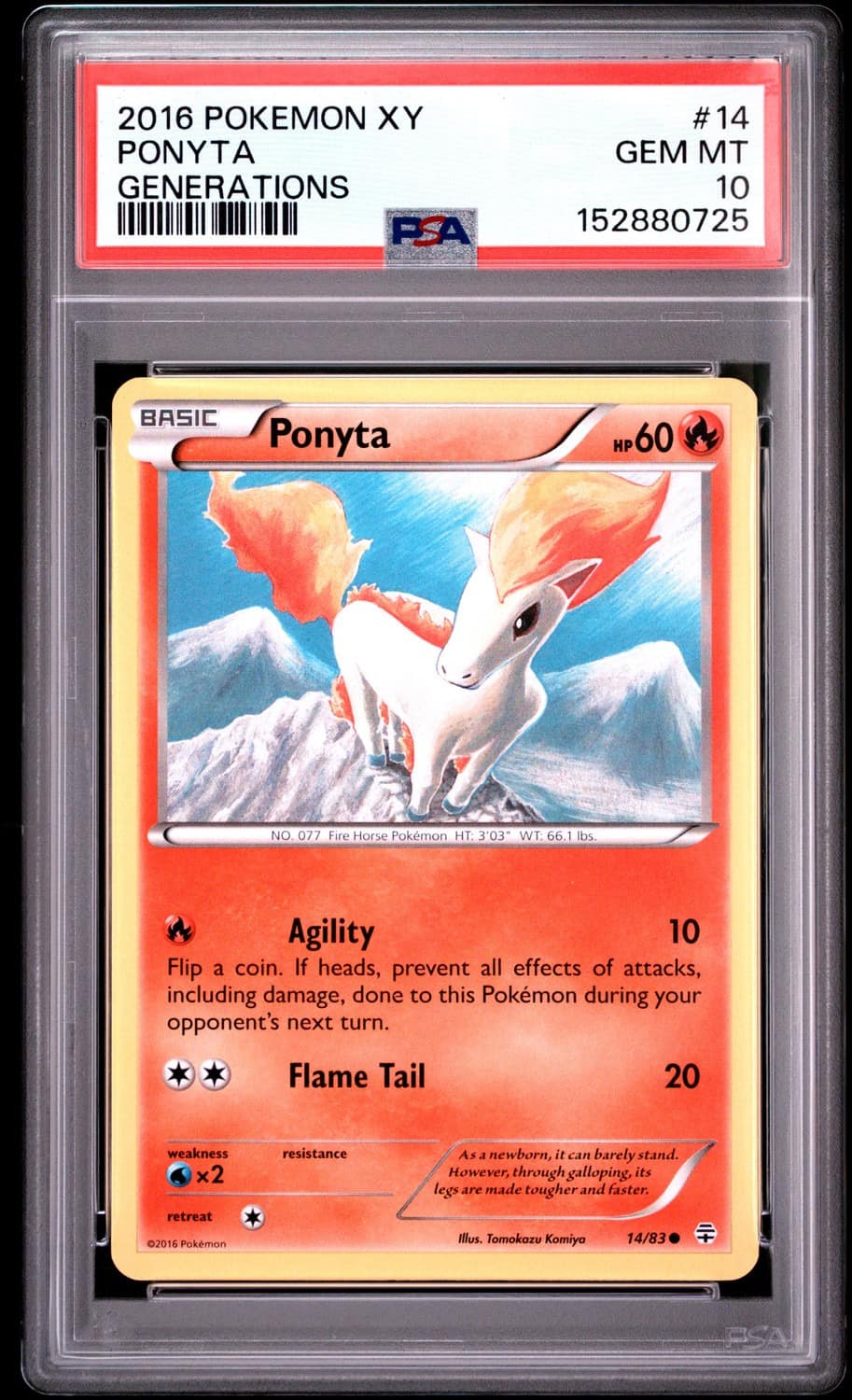 Ponyta