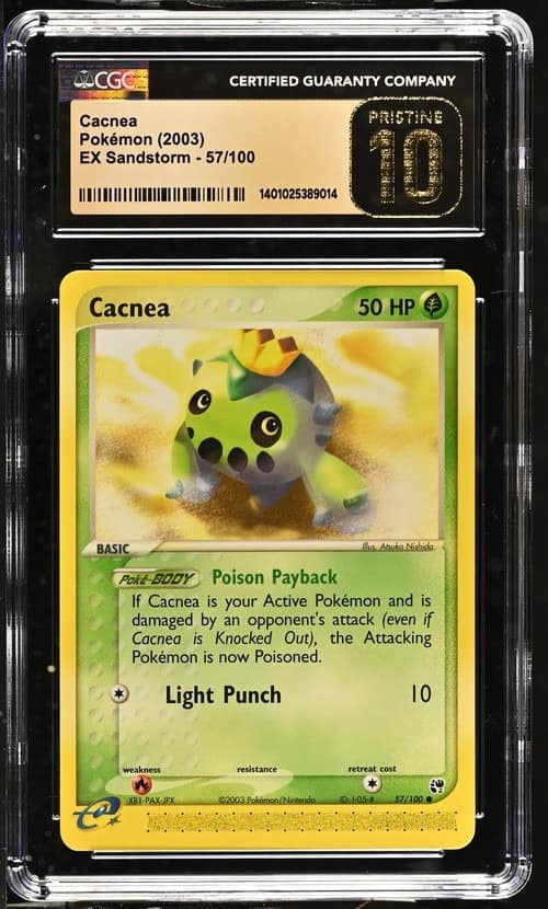 Cacnea