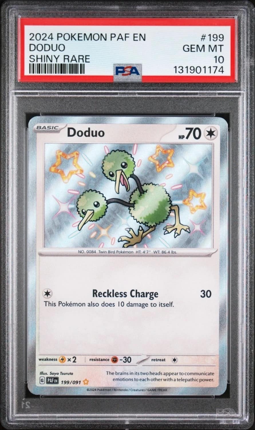 Doduo