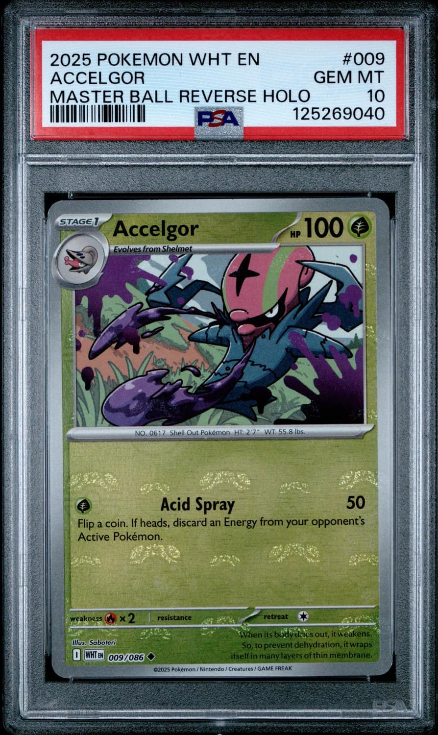 Accelgor