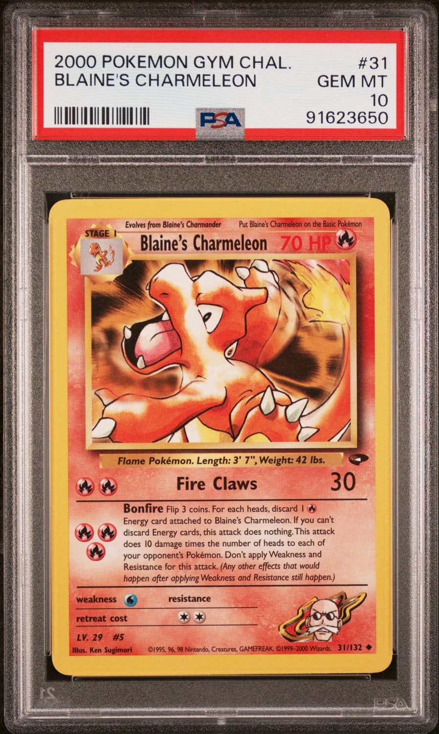 Blaine'S Charmeleon