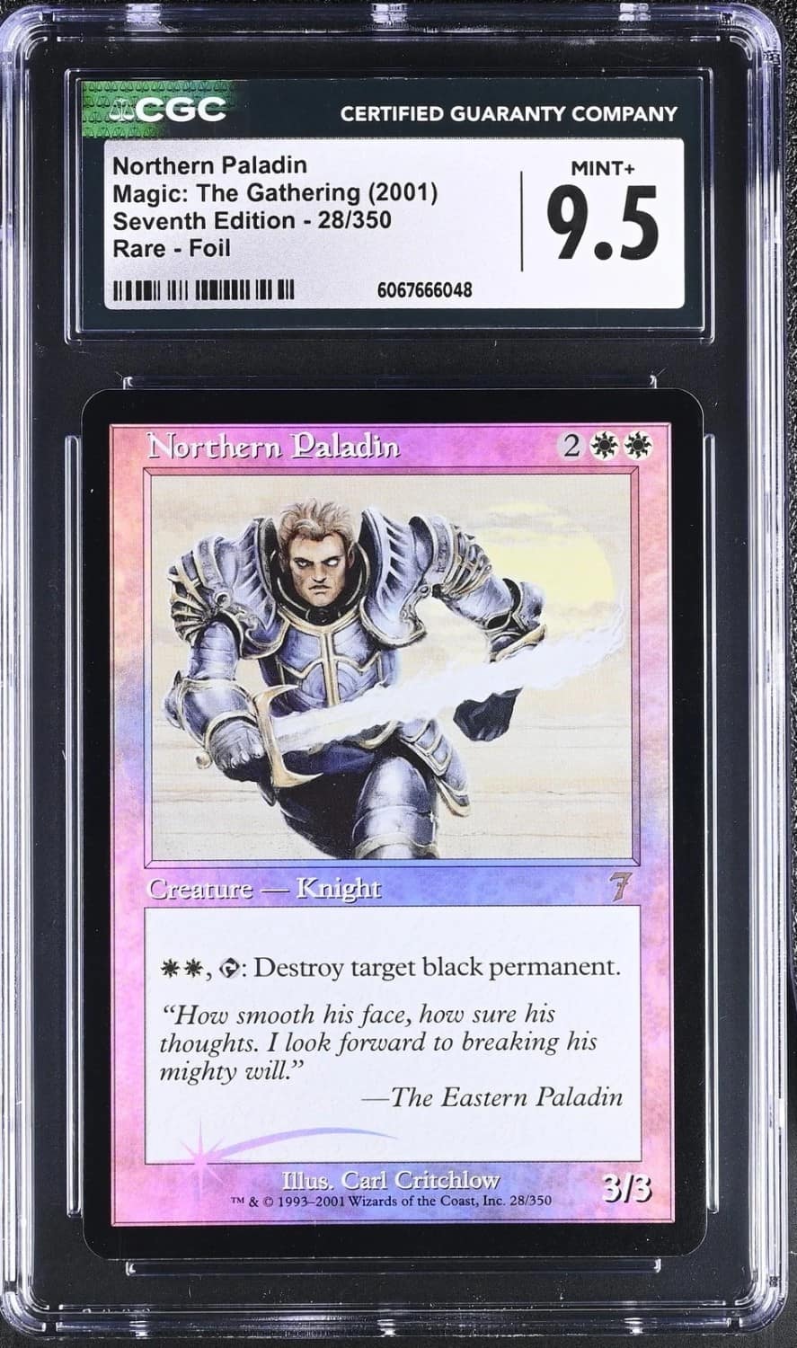 Northern Paladin