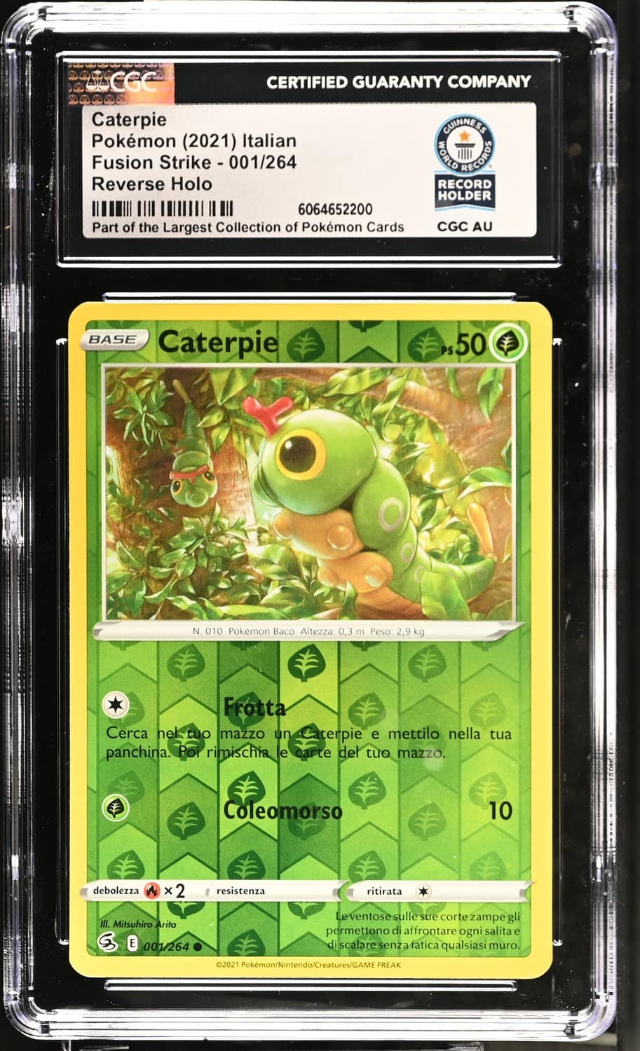 Caterpie