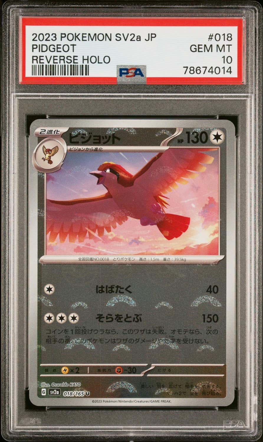 Pidgeot