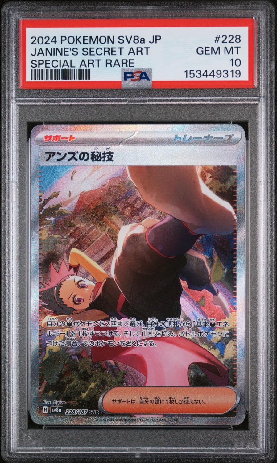 Janine'S Secret Art