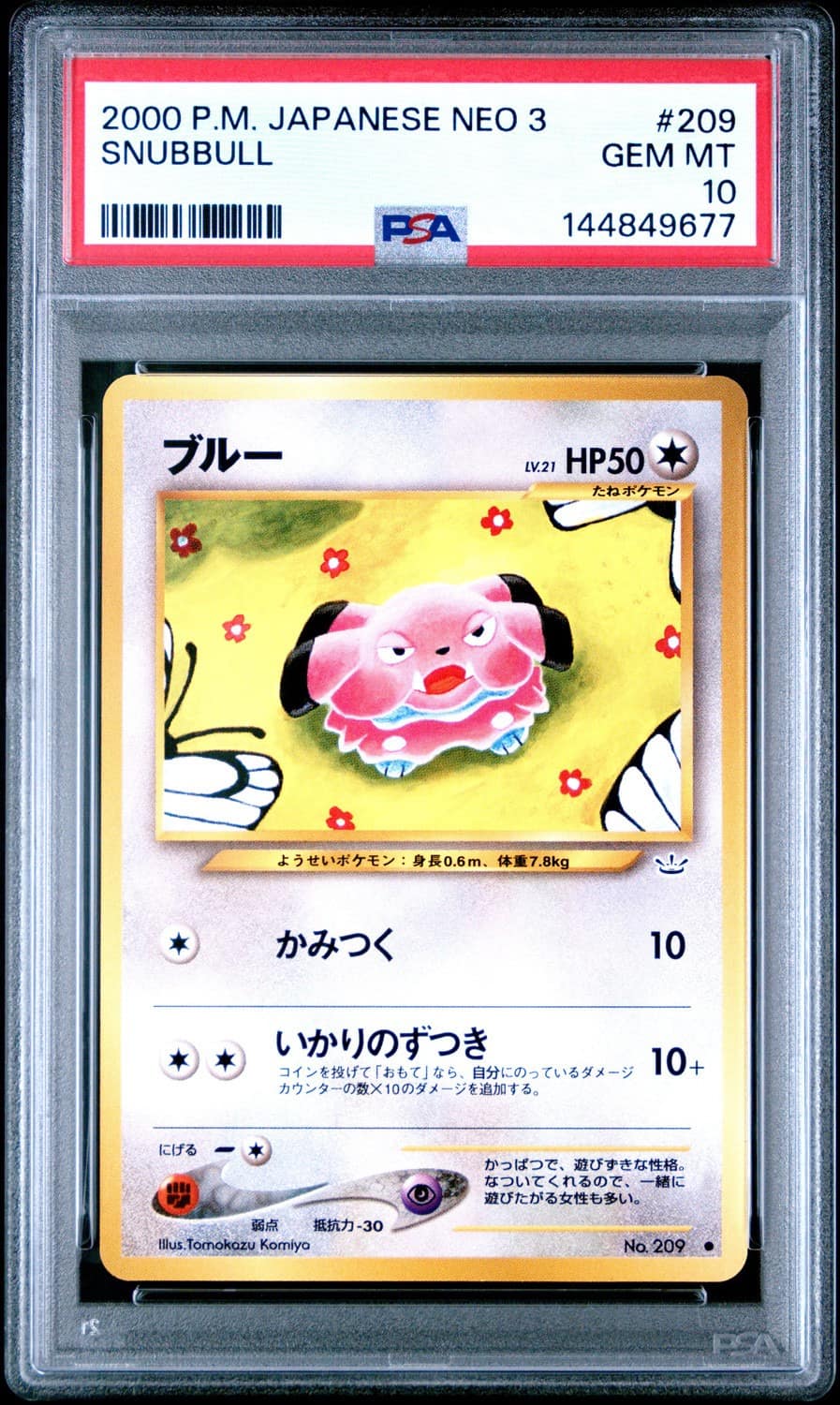 Snubbull