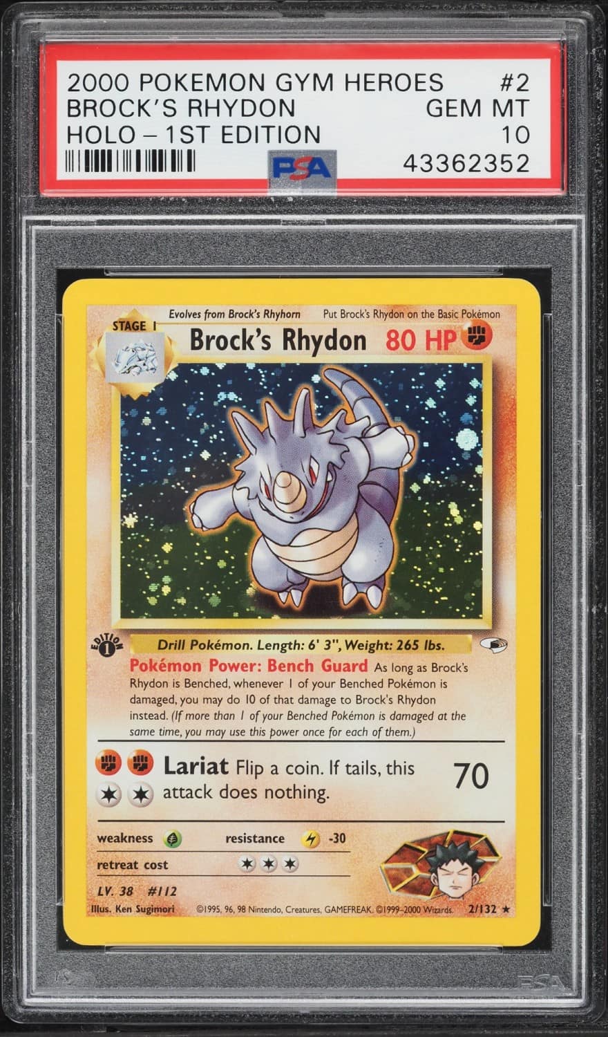 Brock'S Rhydon
