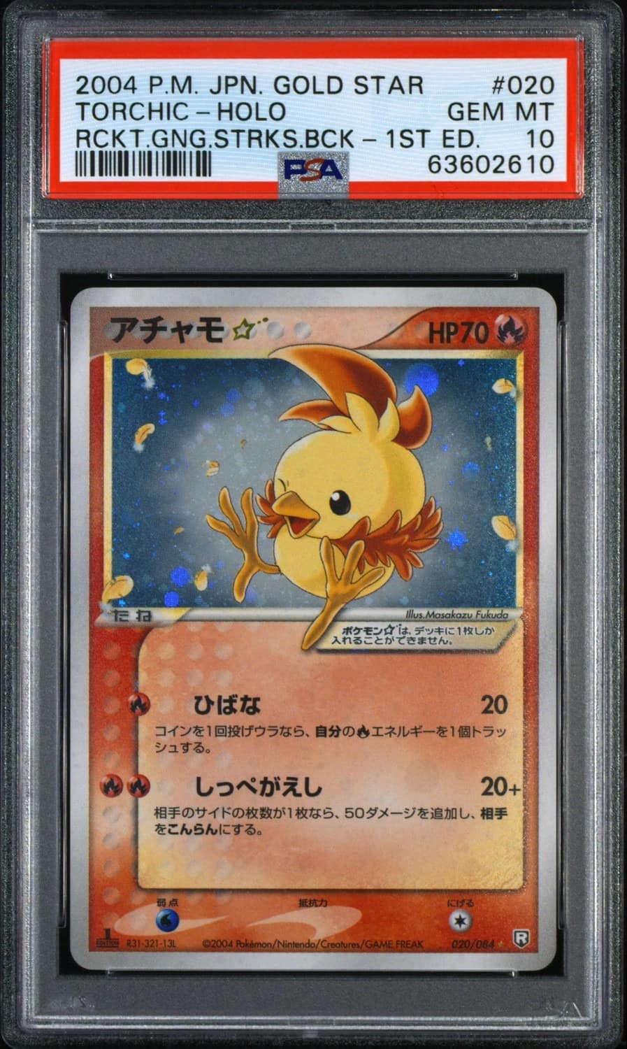 Torchic