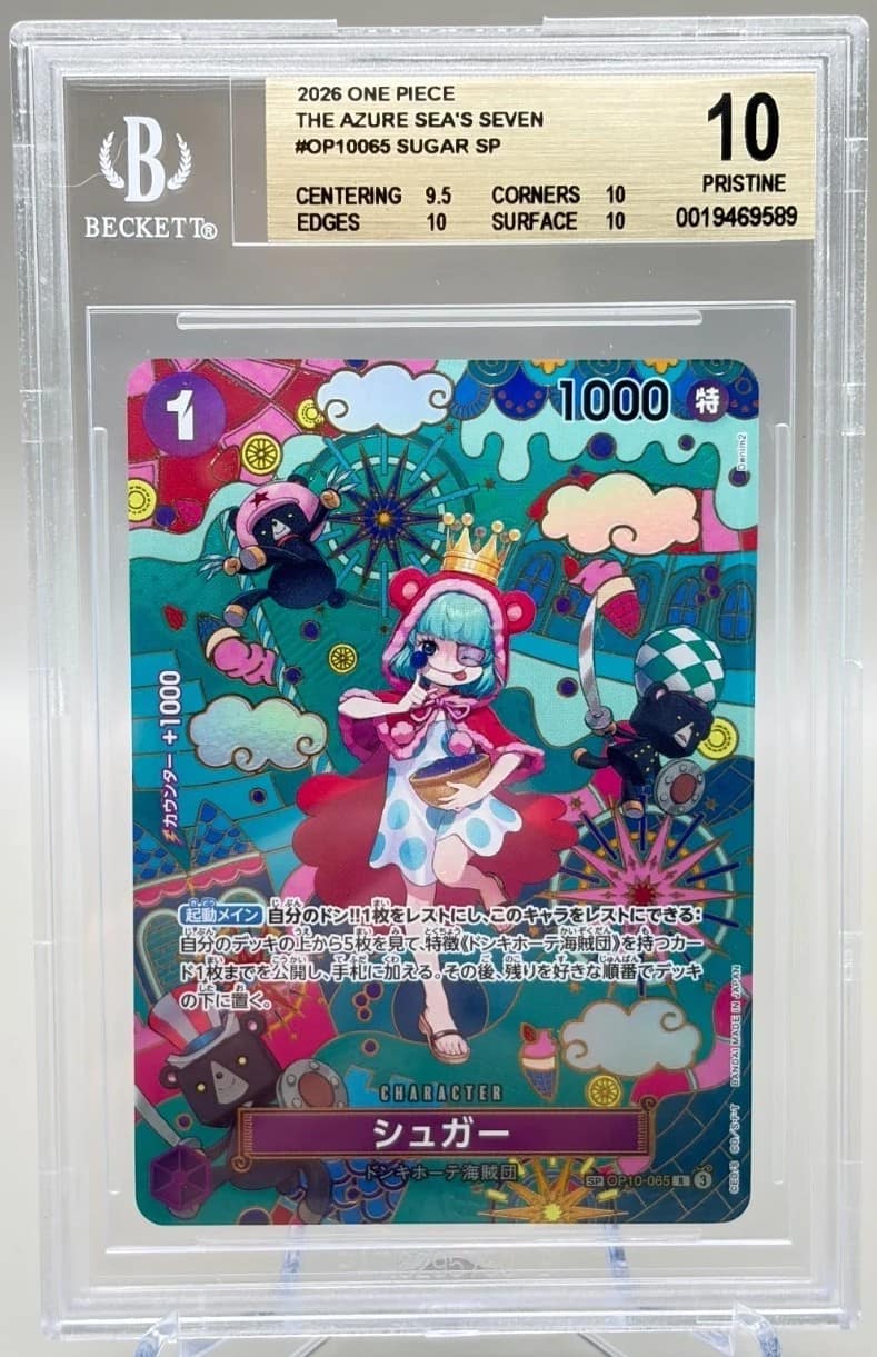 Sugar Sp