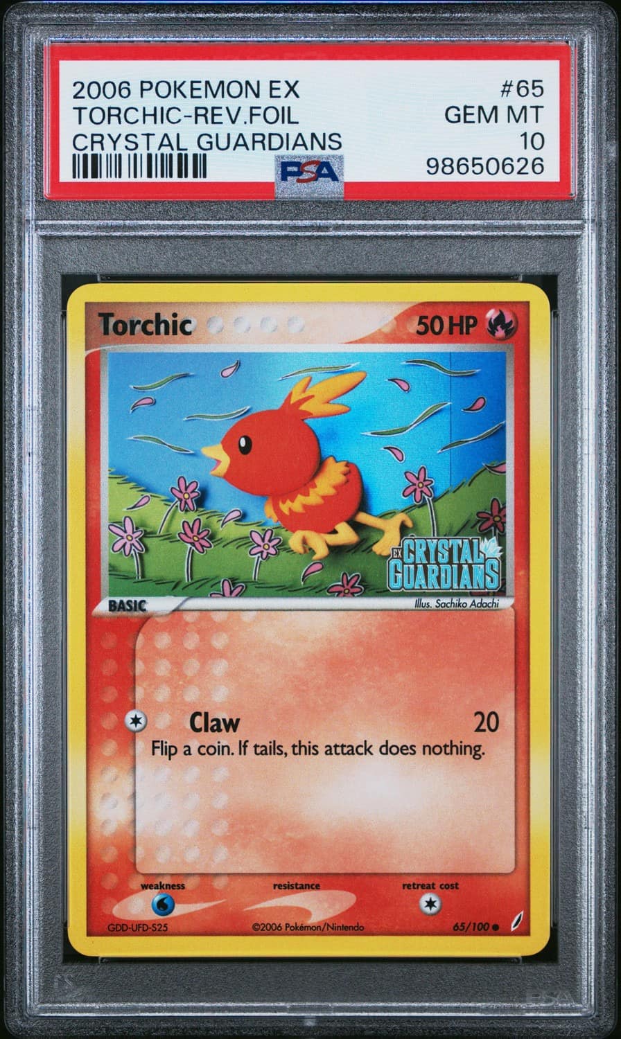 Torchic