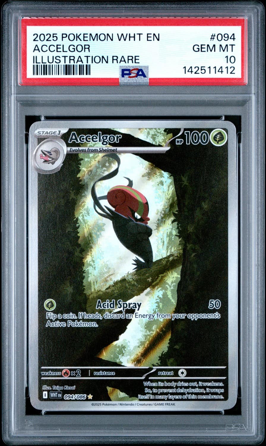 Accelgor