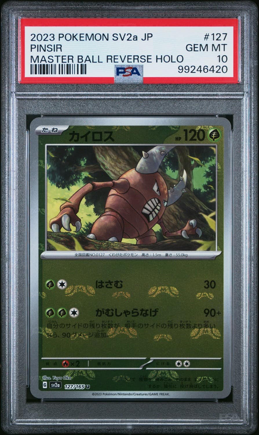 Pinsir