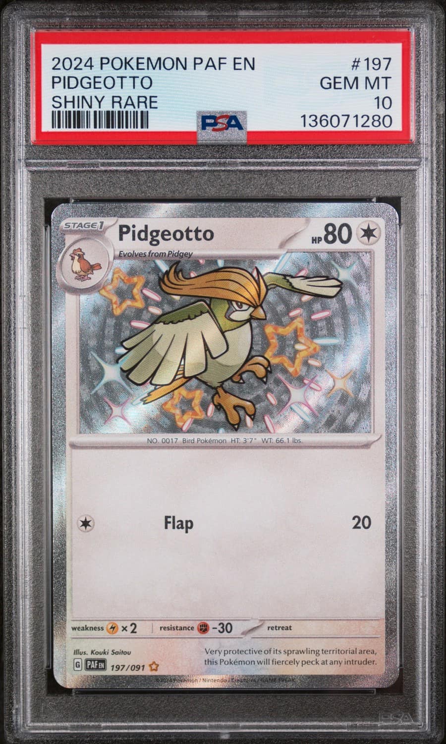 Pidgeotto