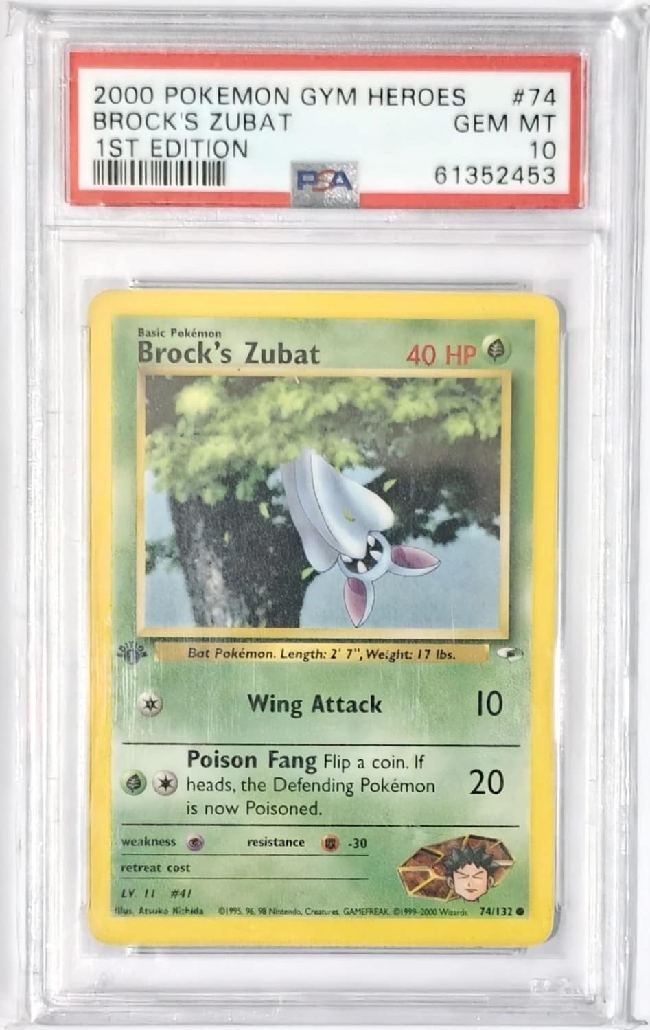 Brock'S Zubat
