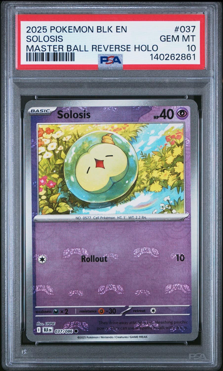 Solosis