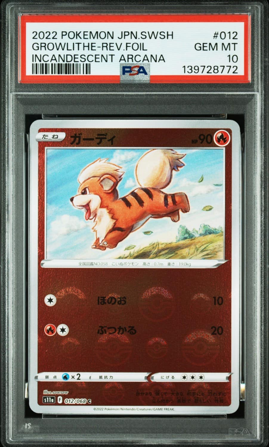 Growlithe