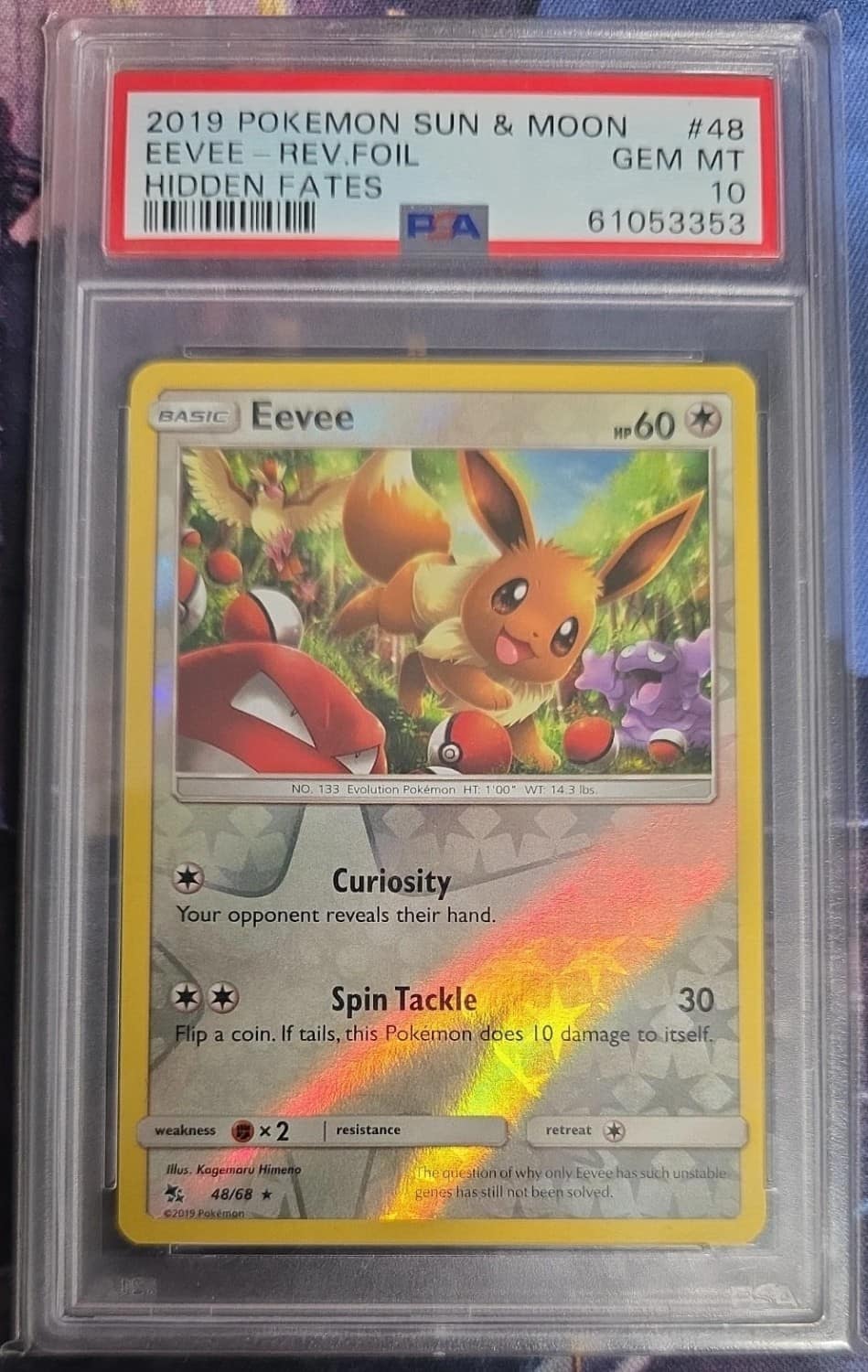 Eevee