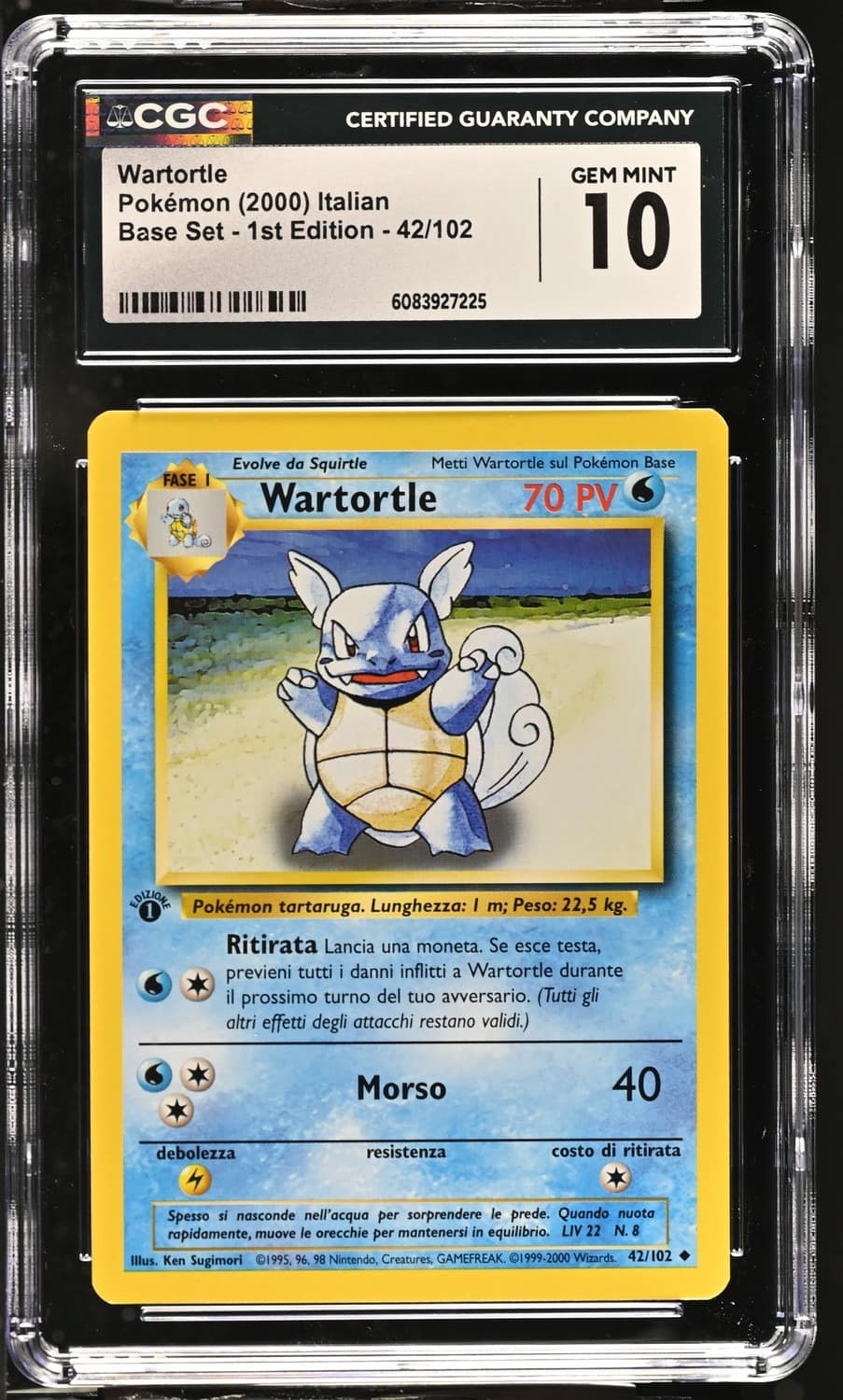 Wartortle