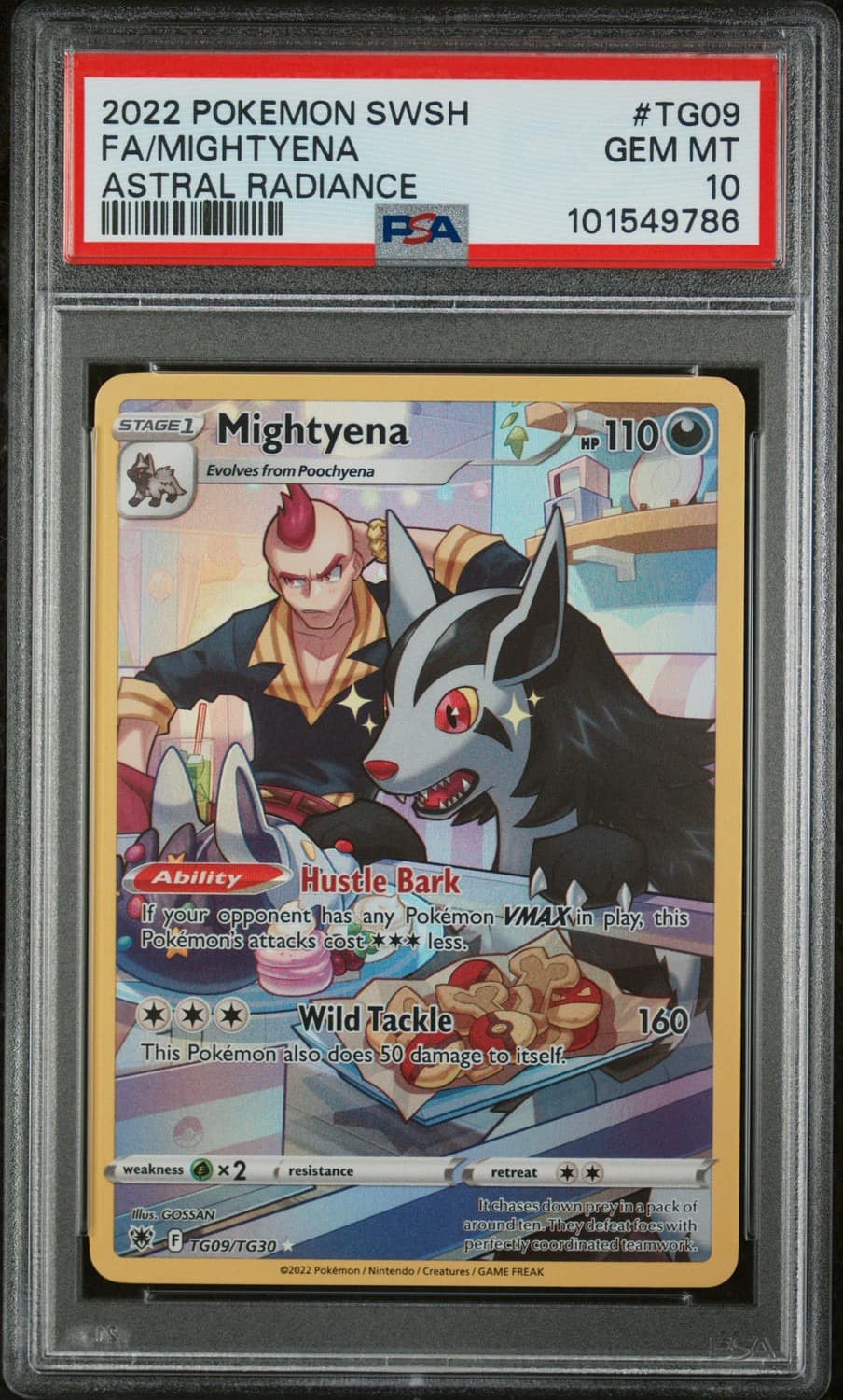 Mightyena