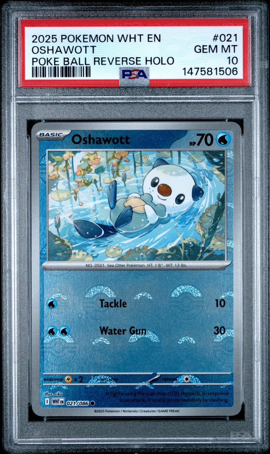Oshawott