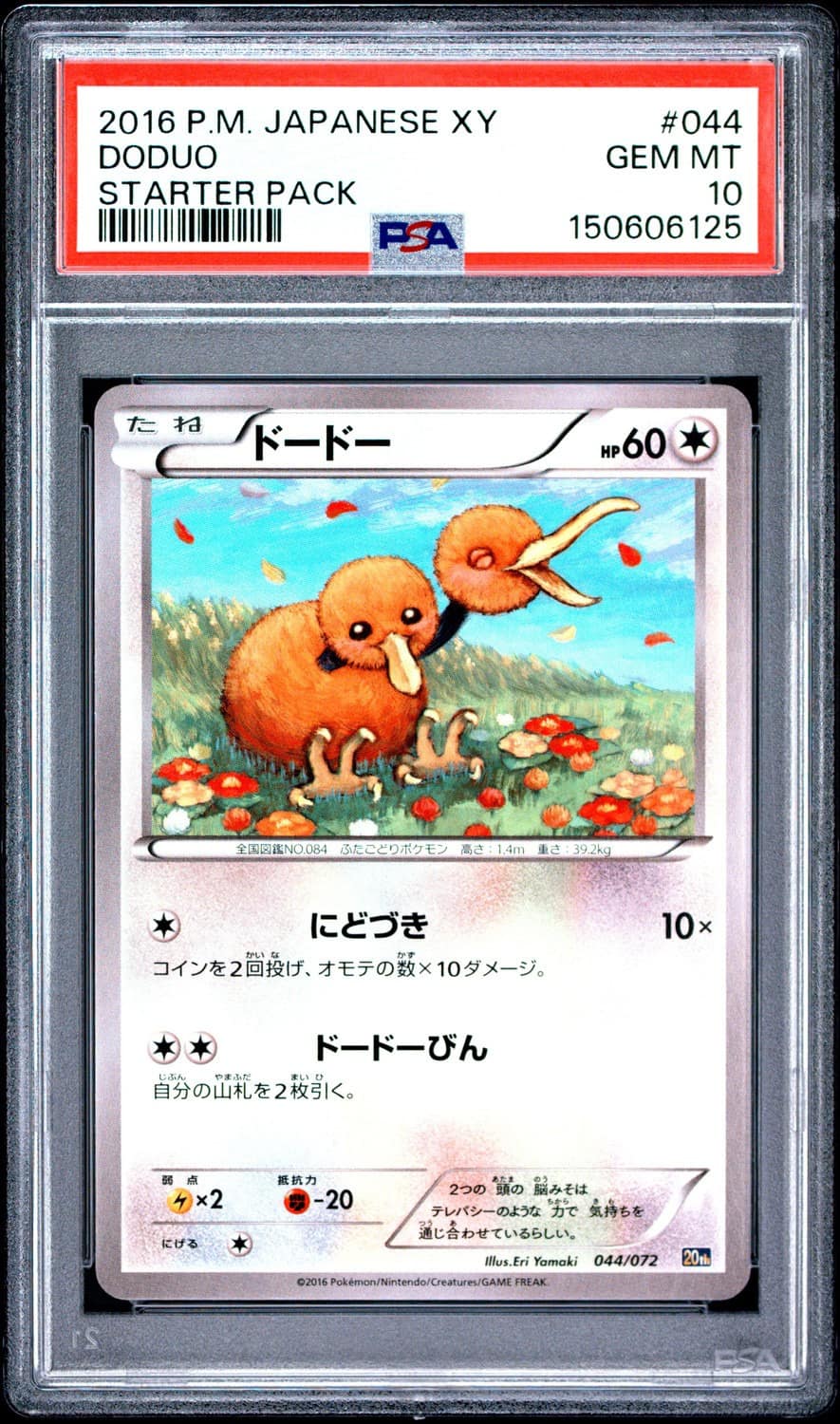 Doduo