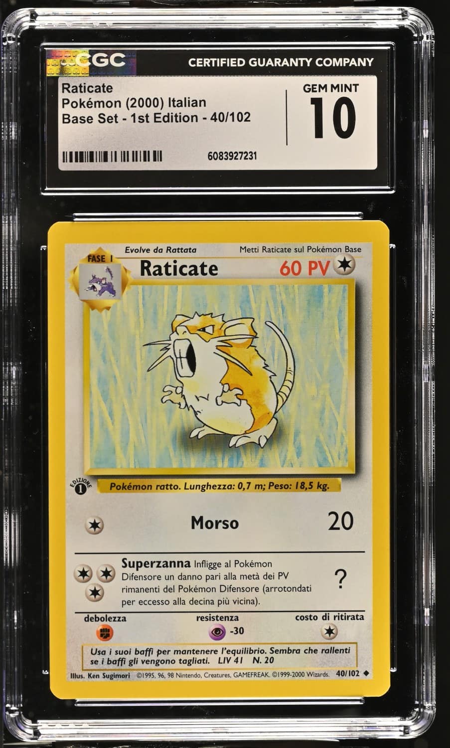 Raticate