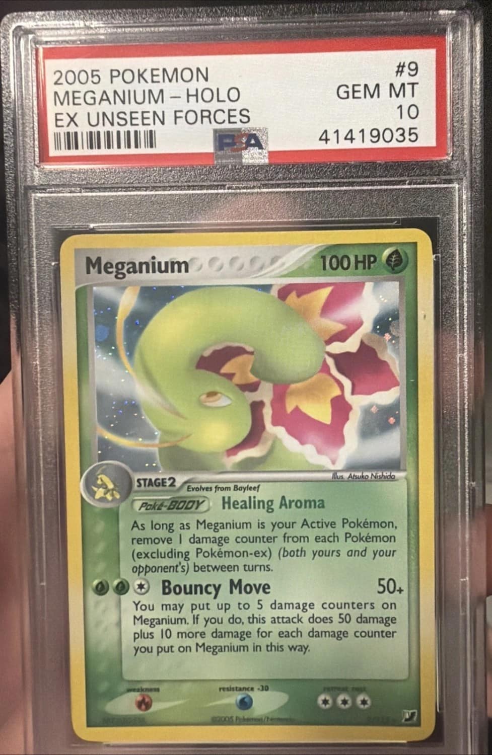 Meganium