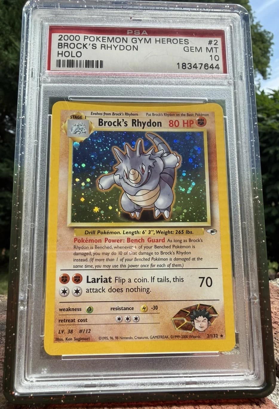 Brock'S Rhydon