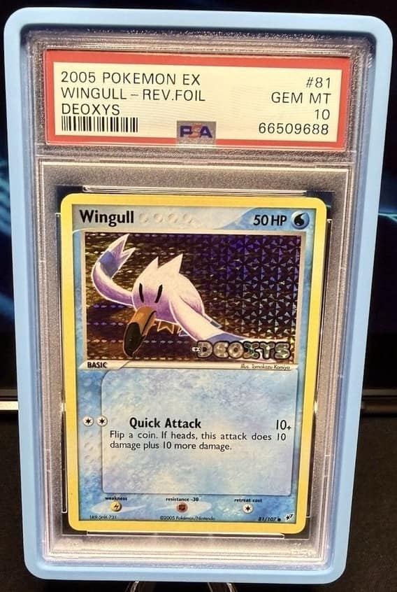 Wingull