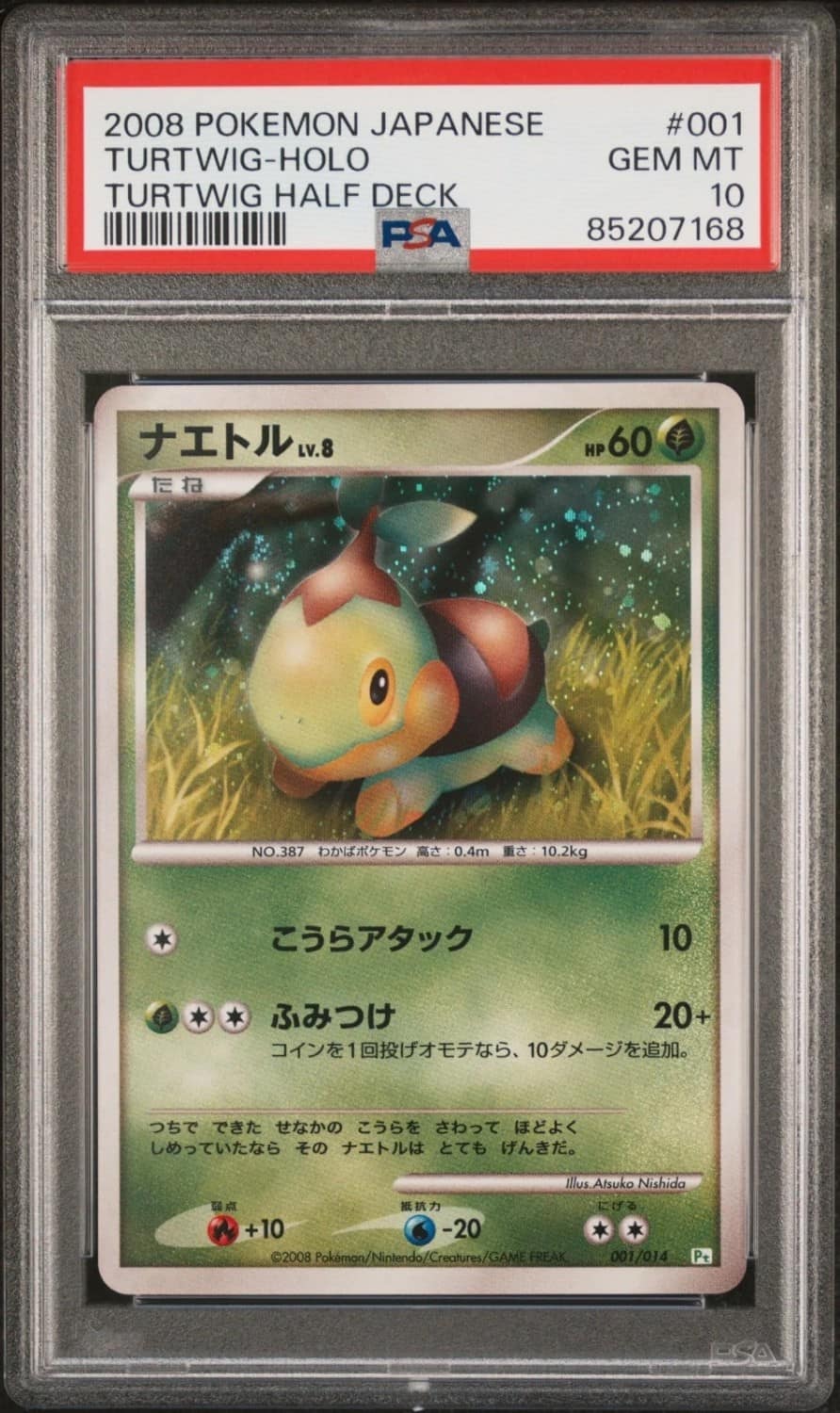 Turtwig