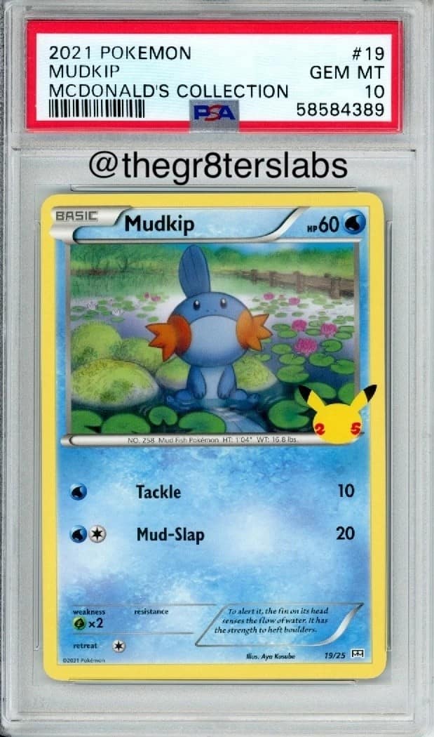 Mudkip
