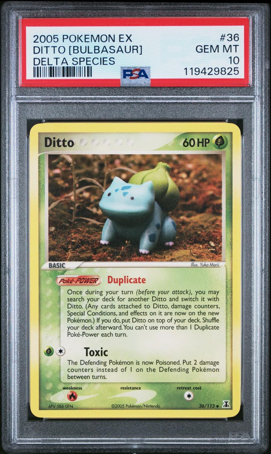 Ditto [bulbasaur]
