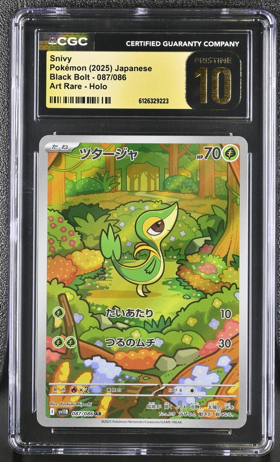 Snivy