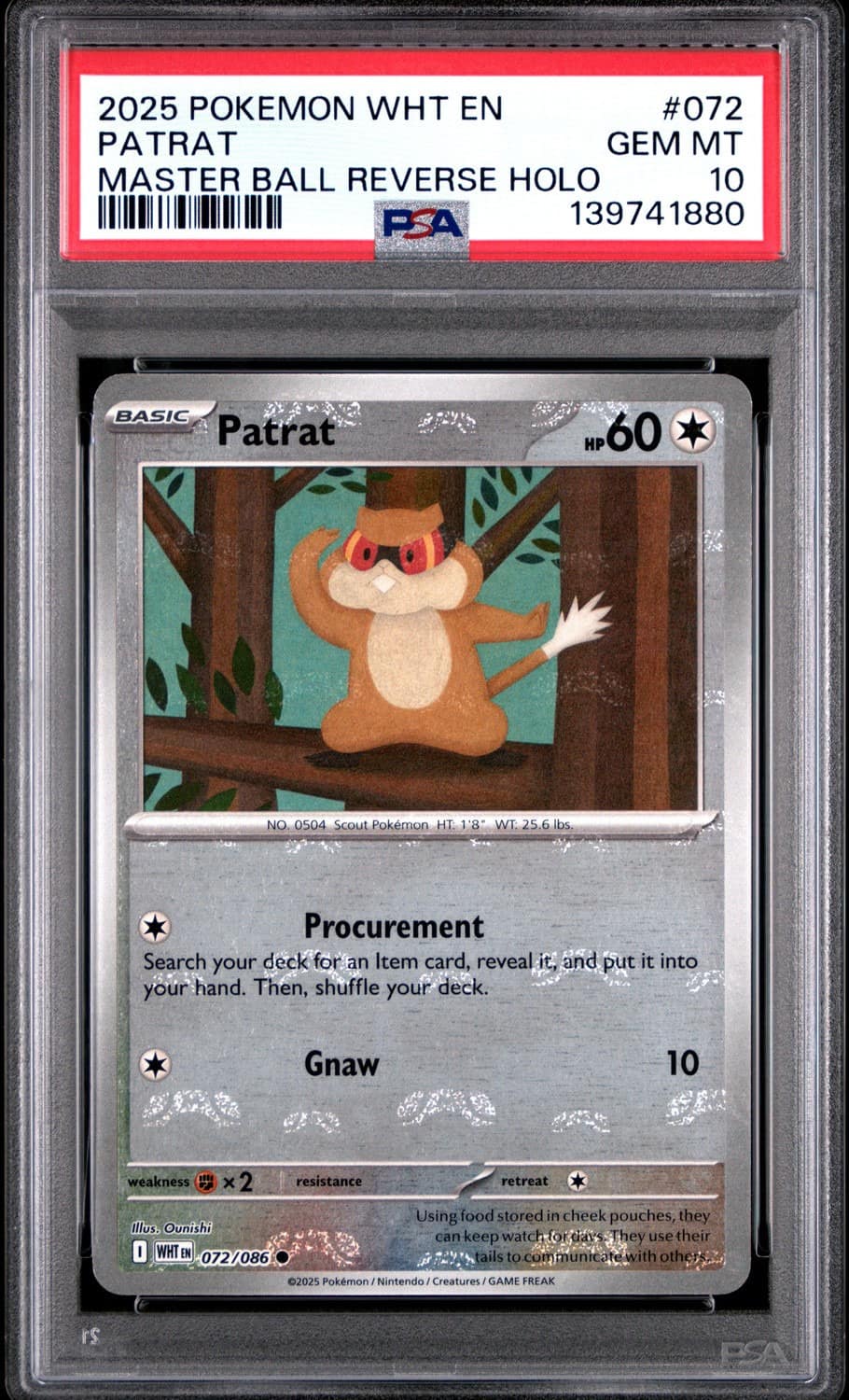 Patrat