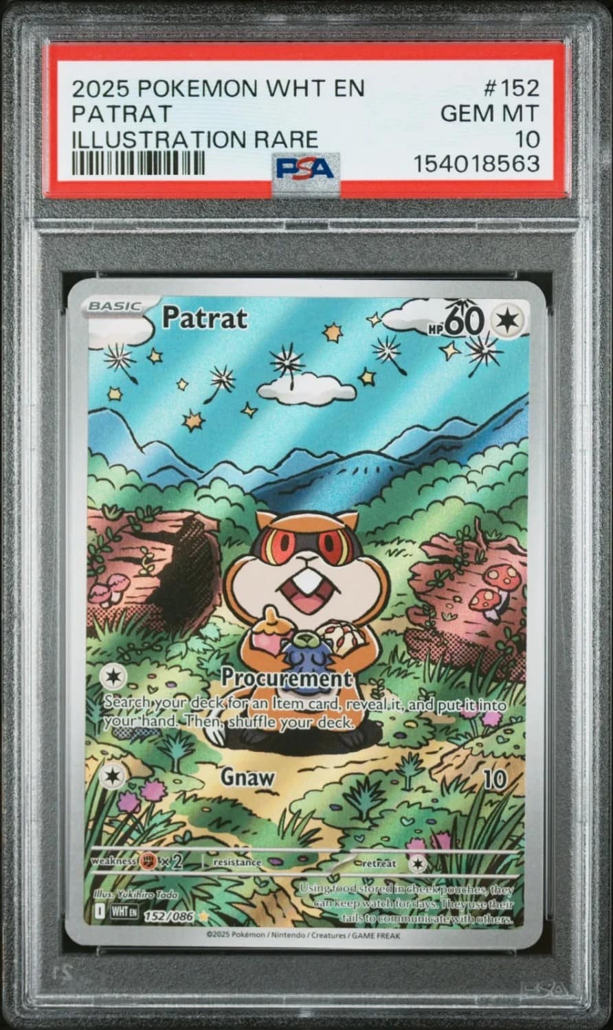 Patrat