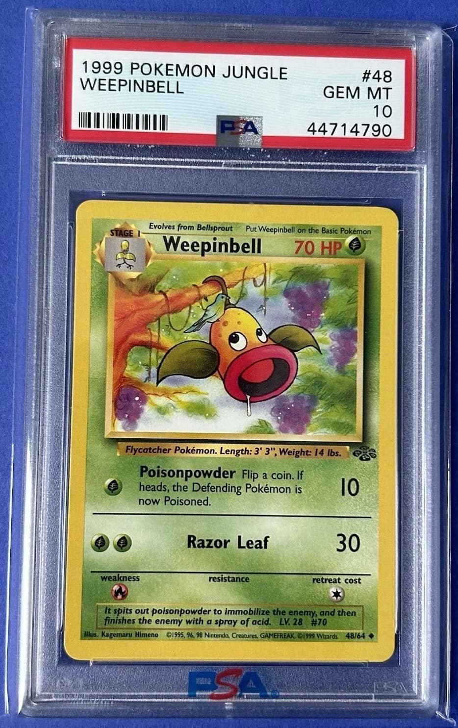 Weepinbell