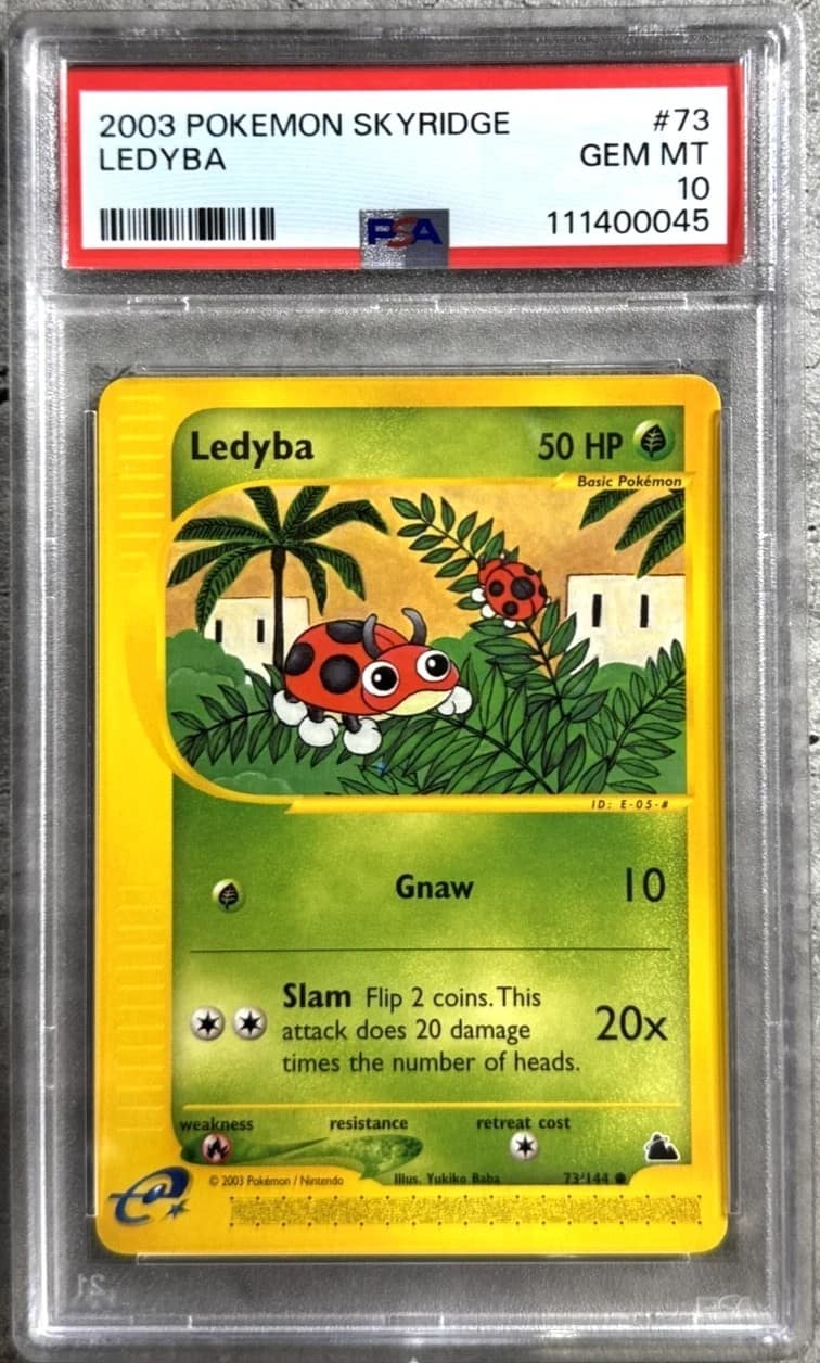 Ledyba