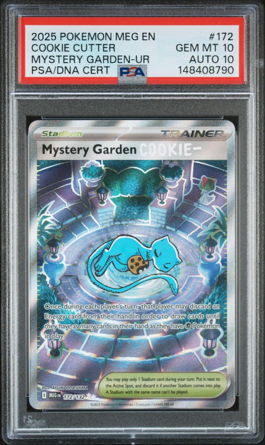 Mystery Garden