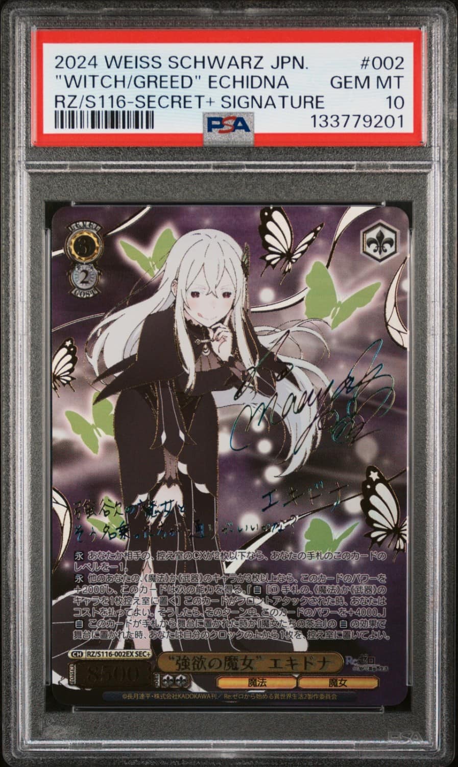 "witch/greed" Echidna