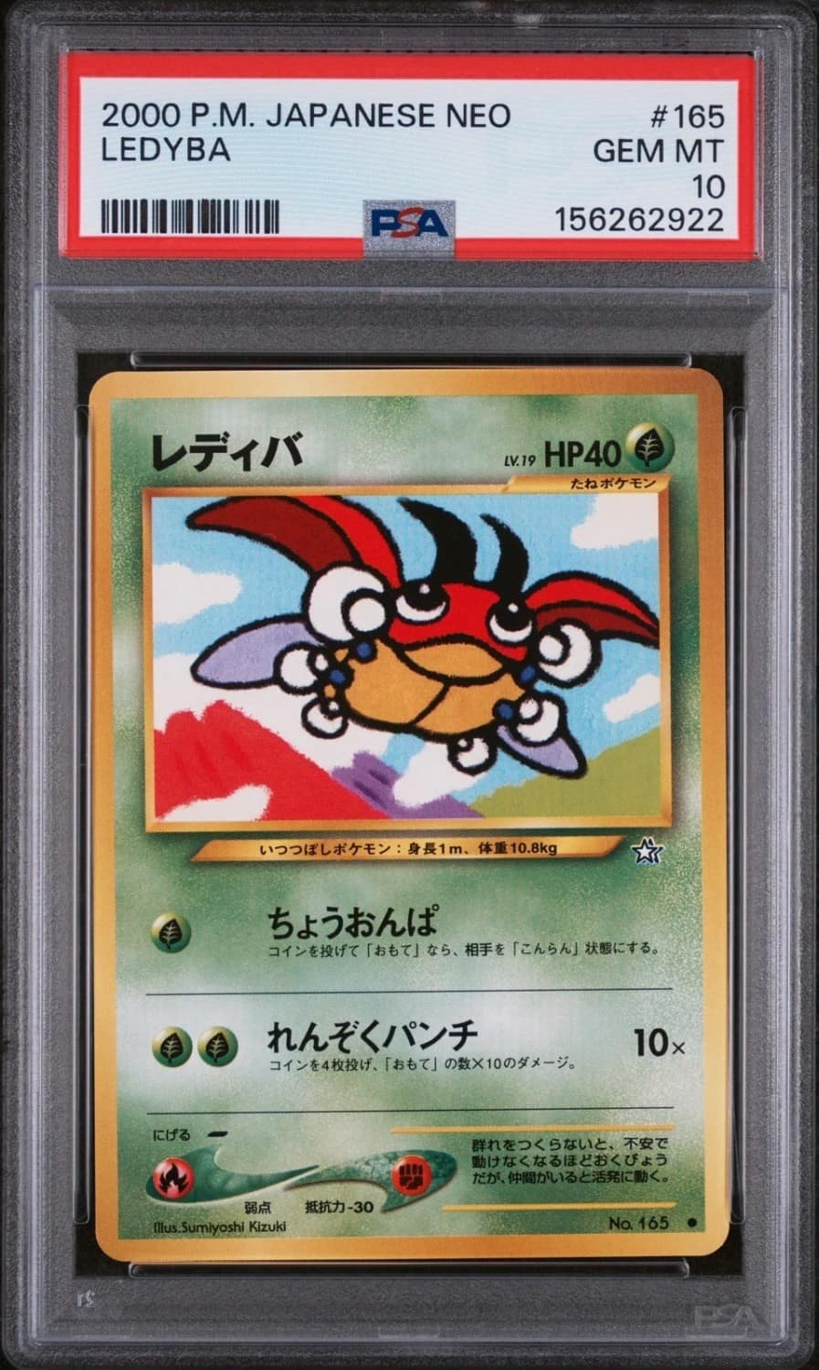 Ledyba