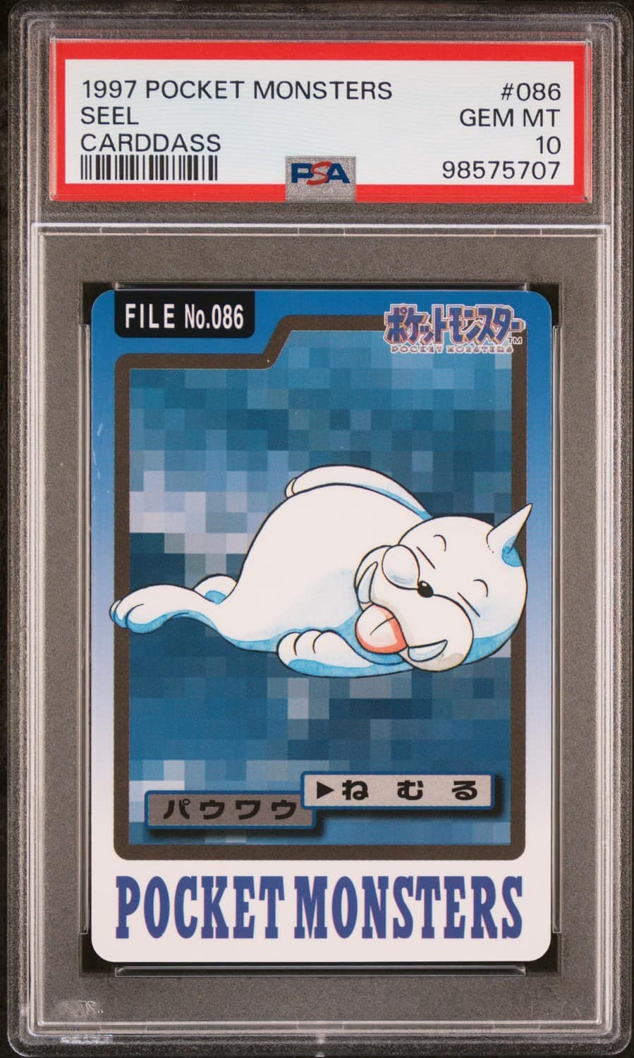 Seel