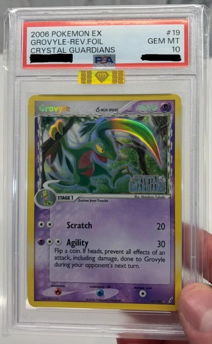 Grovyle δ