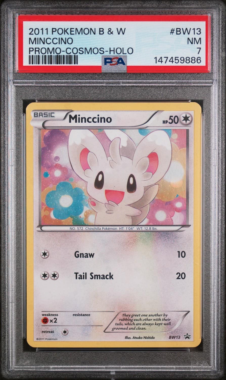 Minccino