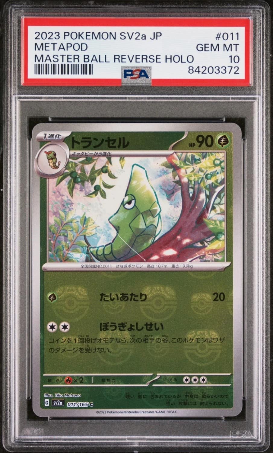 Metapod