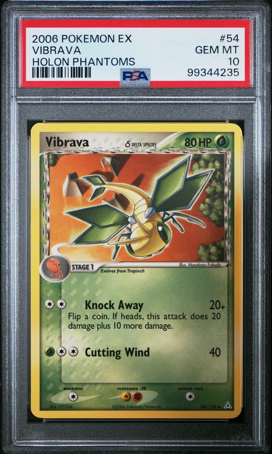 Vibrava δ
