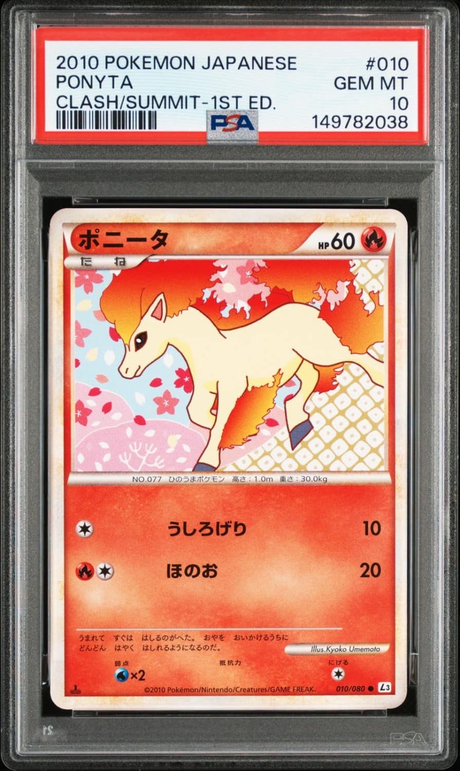 Ponyta