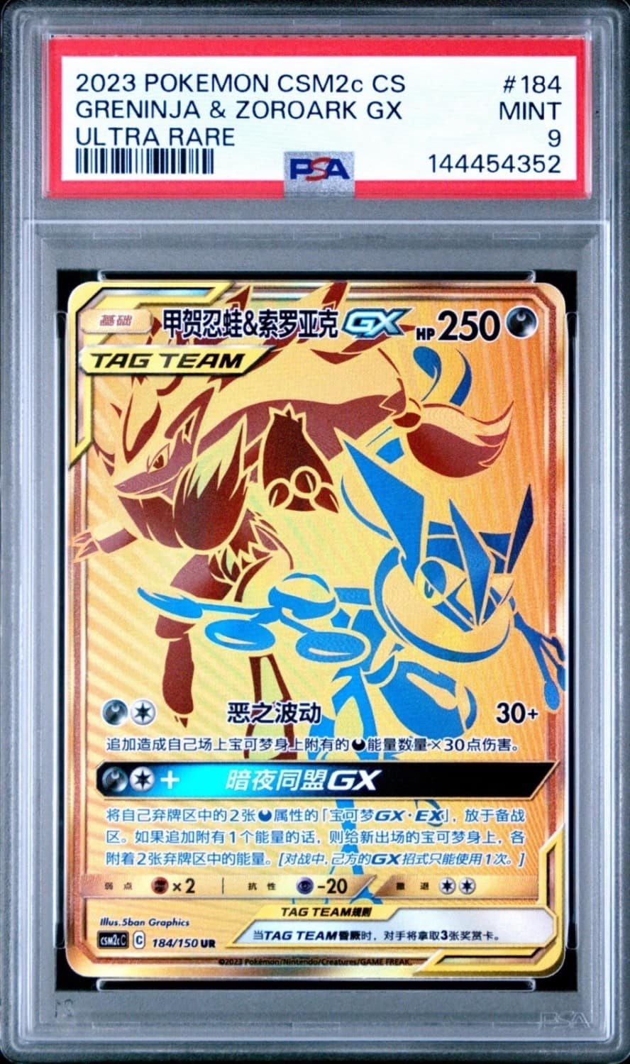 Greninja & Zoroark Gx